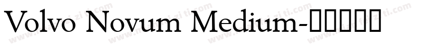 Volvo Novum Medium字体转换